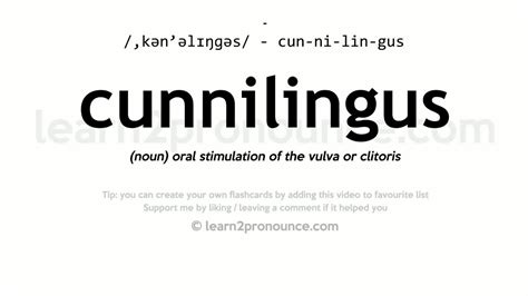 Meaning of cunnilingus in English